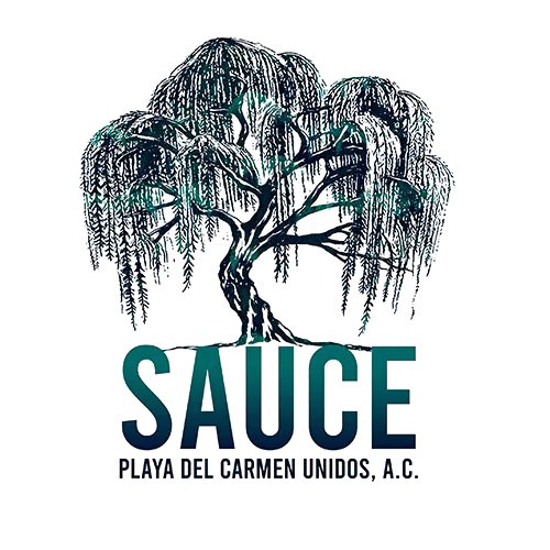 SAUCE Playa del Carmen Unidos, A.C.